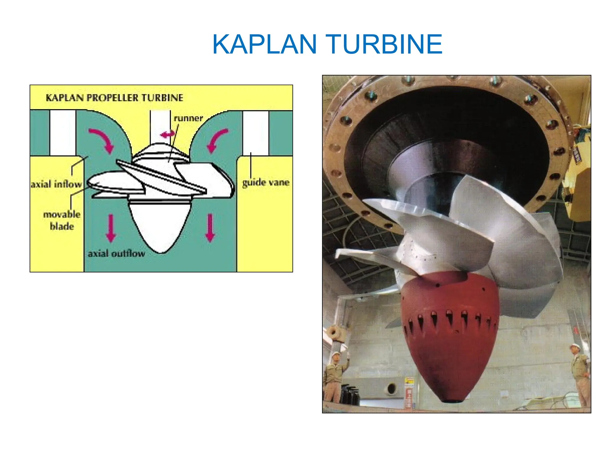 KAPLAN TURBINE
 