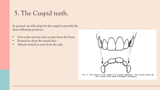 selection of teeth in complete denture.pptx