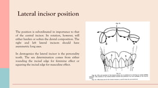 selection of teeth in complete denture.pptx