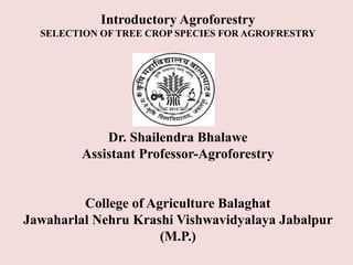 Introductory Agroforestry
SELECTION OF TREE CROP SPECIES FOR AGROFRESTRY
Dr. Shailendra Bhalawe
Assistant Professor-Agroforestry
College of Agriculture Balaghat
Jawaharlal Nehru Krashi Vishwavidyalaya Jabalpur
(M.P.)
 