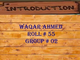 Waqar ahmed
  Roll # 55
 Group # 02
 