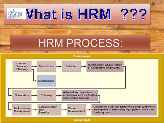 Selection process HRM | PPT