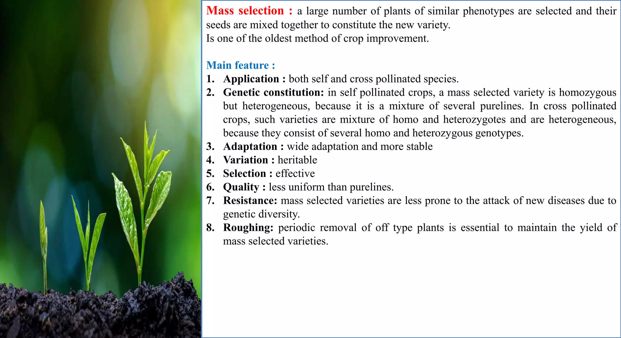 Mass selection : a large number of plants of similar phenotypes are selected and their
seeds are mixed together to constitute the new variety.
Is one of the oldest method of crop improvement.
Main feature :
1. Application : both self and cross pollinated species.
2. Genetic constitution: in self pollinated crops, a mass selected variety is homozygous
but heterogeneous, because it is a mixture of several purelines. In cross pollinated
crops, such varieties are mixture of homo and heterozygotes and are heterogeneous,
because they consist of several homo and heterozygous genotypes.
3. Adaptation : wide adaptation and more stable
4. Variation : heritable
5. Selection : effective
6. Quality : less uniform than purelines.
7. Resistance: mass selected varieties are less prone to the attack of new diseases due to
genetic diversity.
8. Roughing: periodic removal of off type plants is essential to maintain the yield of
mass selected varieties.
 