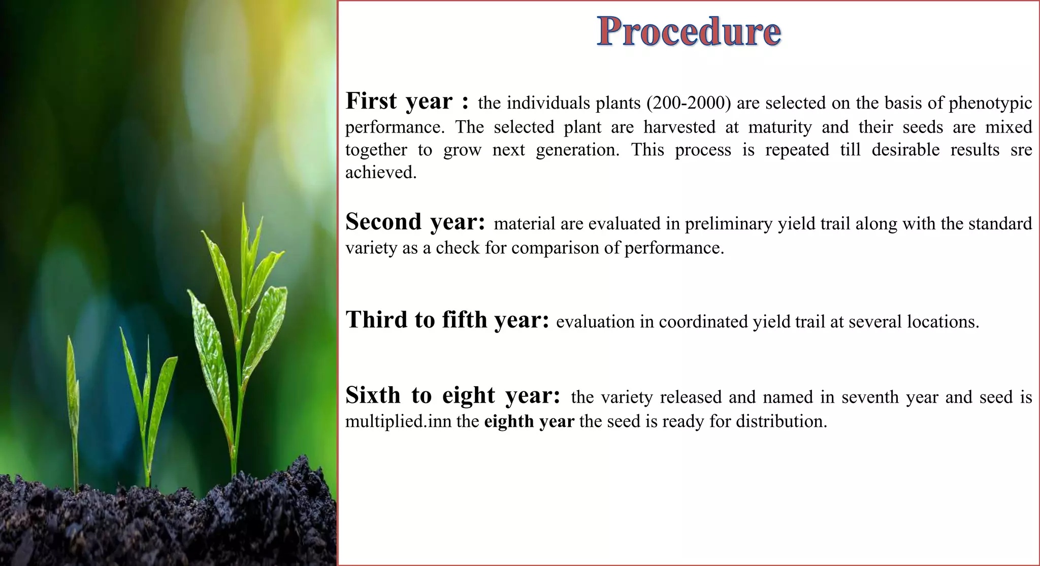 First year : the individuals plants (200-2000) are selected on the basis of phenotypic
performance. The selected plant are harvested at maturity and their seeds are mixed
together to grow next generation. This process is repeated till desirable results sre
achieved.
Second year: material are evaluated in preliminary yield trail along with the standard
variety as a check for comparison of performance.
Third to fifth year: evaluation in coordinated yield trail at several locations.
Sixth to eight year: the variety released and named in seventh year and seed is
multiplied.inn the eighth year the seed is ready for distribution.
 
