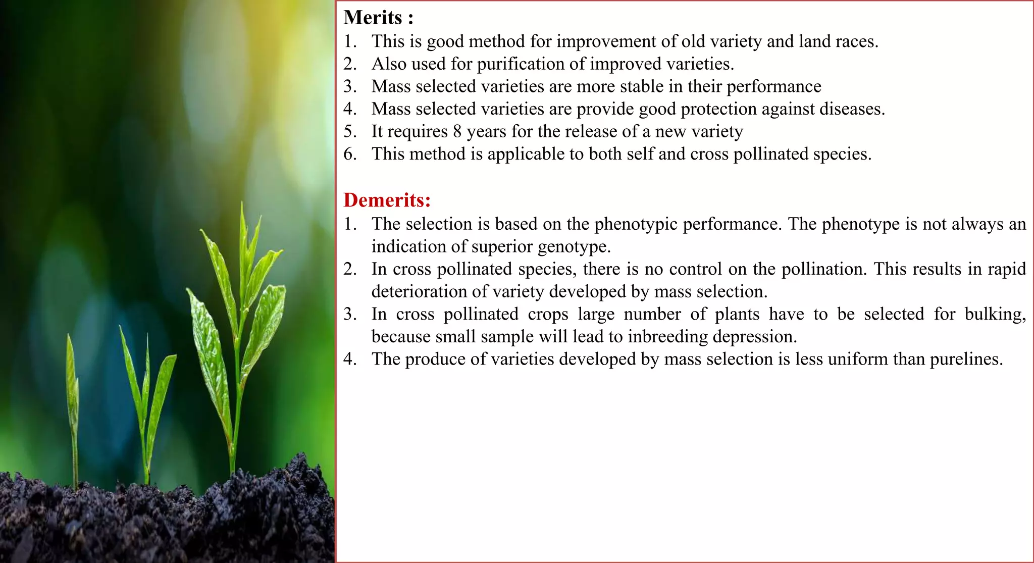 Merits :
1. This is good method for improvement of old variety and land races.
2. Also used for purification of improved varieties.
3. Mass selected varieties are more stable in their performance
4. Mass selected varieties are provide good protection against diseases.
5. It requires 8 years for the release of a new variety
6. This method is applicable to both self and cross pollinated species.
Demerits:
1. The selection is based on the phenotypic performance. The phenotype is not always an
indication of superior genotype.
2. In cross pollinated species, there is no control on the pollination. This results in rapid
deterioration of variety developed by mass selection.
3. In cross pollinated crops large number of plants have to be selected for bulking,
because small sample will lead to inbreeding depression.
4. The produce of varieties developed by mass selection is less uniform than purelines.
 