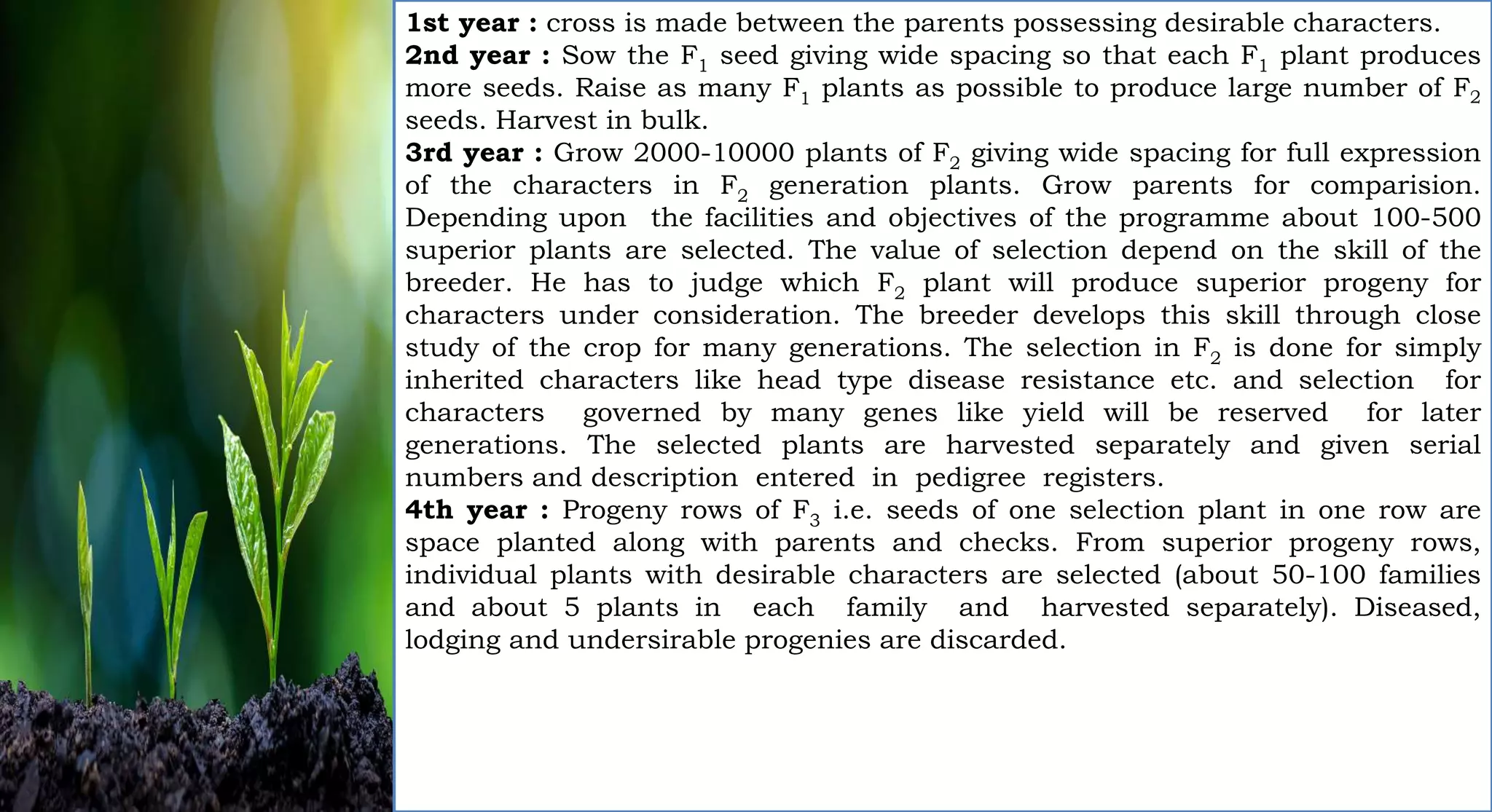 1st year : cross is made between the parents possessing desirable characters.
2nd year : Sow the F1 seed giving wide spacing so that each F1 plant produces
more seeds. Raise as many F1 plants as possible to produce large number of F2
seeds. Harvest in bulk.
3rd year : Grow 2000-10000 plants of F2 giving wide spacing for full expression
of the characters in F2 generation plants. Grow parents for comparision.
Depending upon the facilities and objectives of the programme about 100-500
superior plants are selected. The value of selection depend on the skill of the
breeder. He has to judge which F2 plant will produce superior progeny for
characters under consideration. The breeder develops this skill through close
study of the crop for many generations. The selection in F2 is done for simply
inherited characters like head type disease resistance etc. and selection for
characters governed by many genes like yield will be reserved for later
generations. The selected plants are harvested separately and given serial
numbers and description entered in pedigree registers.
4th year : Progeny rows of F3 i.e. seeds of one selection plant in one row are
space planted along with parents and checks. From superior progeny rows,
individual plants with desirable characters are selected (about 50-100 families
and about 5 plants in each family and harvested separately). Diseased,
lodging and undersirable progenies are discarded.
 