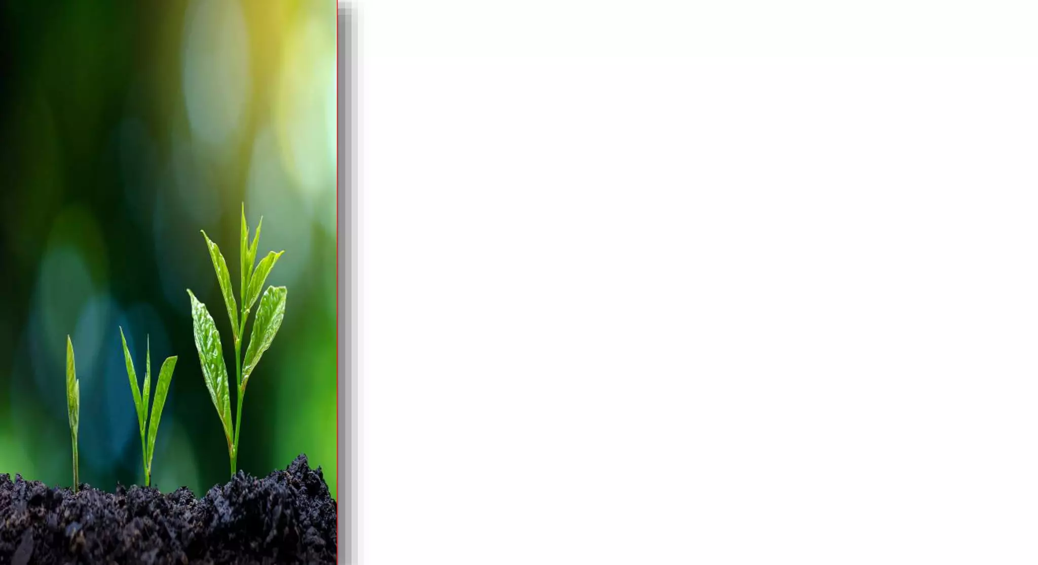 Selection: pure line, mass and pedigree breeding methods for self pollinated crops