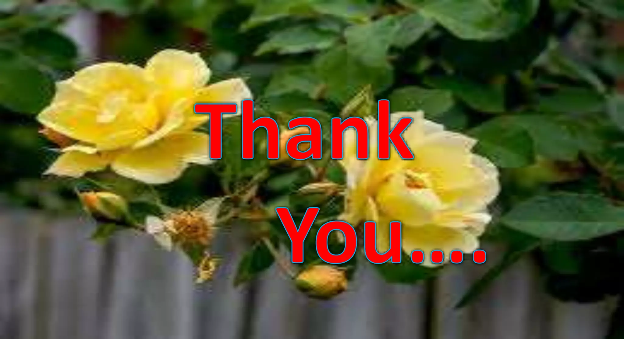 Selection: pure line, mass and pedigree breeding methods for self pollinated crops