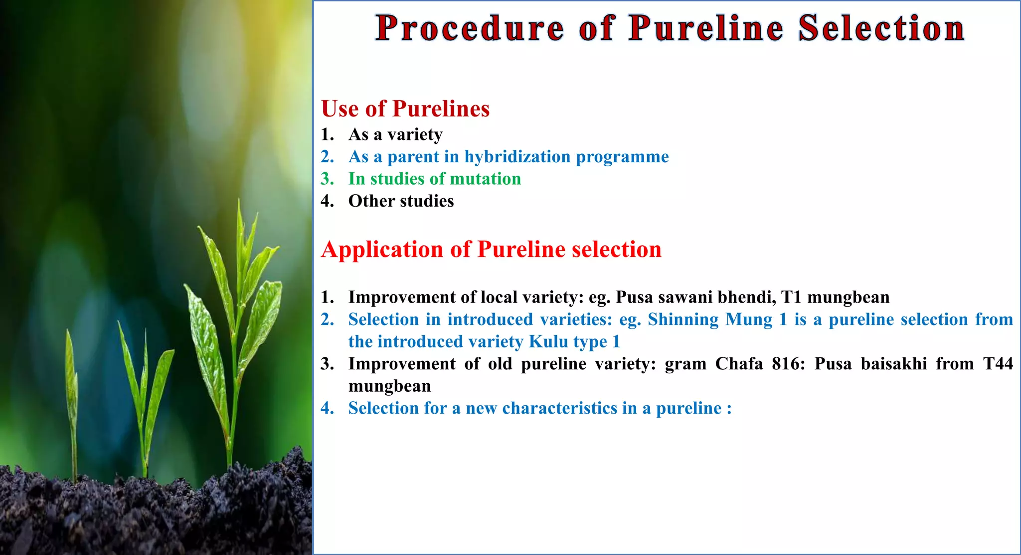 Use of Purelines
1. As a variety
2. As a parent in hybridization programme
3. In studies of mutation
4. Other studies
Application of Pureline selection
1. Improvement of local variety: eg. Pusa sawani bhendi, T1 mungbean
2. Selection in introduced varieties: eg. Shinning Mung 1 is a pureline selection from
the introduced variety Kulu type 1
3. Improvement of old pureline variety: gram Chafa 816: Pusa baisakhi from T44
mungbean
4. Selection for a new characteristics in a pureline :
 