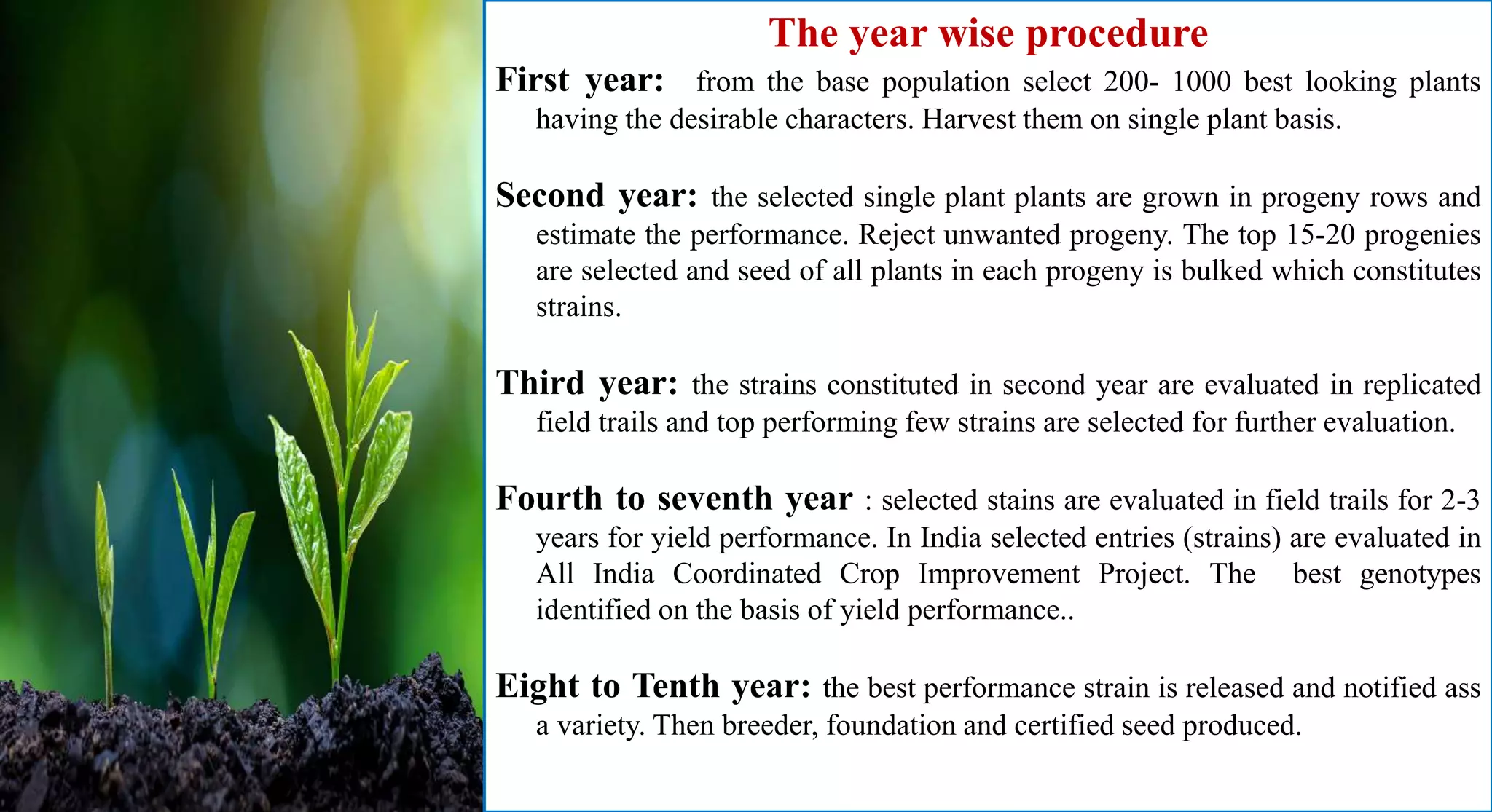 The year wise procedure
First year: from the base population select 200- 1000 best looking plants
having the desirable characters. Harvest them on single plant basis.
Second year: the selected single plant plants are grown in progeny rows and
estimate the performance. Reject unwanted progeny. The top 15-20 progenies
are selected and seed of all plants in each progeny is bulked which constitutes
strains.
Third year: the strains constituted in second year are evaluated in replicated
field trails and top performing few strains are selected for further evaluation.
Fourth to seventh year : selected stains are evaluated in field trails for 2-3
years for yield performance. In India selected entries (strains) are evaluated in
All India Coordinated Crop Improvement Project. The best genotypes
identified on the basis of yield performance..
Eight to Tenth year: the best performance strain is released and notified ass
a variety. Then breeder, foundation and certified seed produced.
 