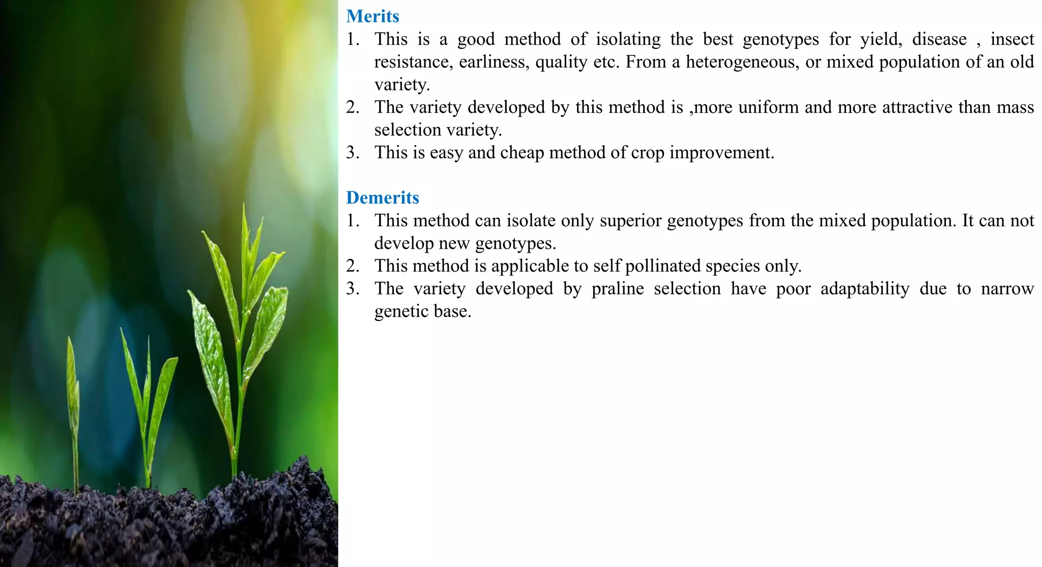 Merits
1. This is a good method of isolating the best genotypes for yield, disease , insect
resistance, earliness, quality etc. From a heterogeneous, or mixed population of an old
variety.
2. The variety developed by this method is ,more uniform and more attractive than mass
selection variety.
3. This is easy and cheap method of crop improvement.
Demerits
1. This method can isolate only superior genotypes from the mixed population. It can not
develop new genotypes.
2. This method is applicable to self pollinated species only.
3. The variety developed by praline selection have poor adaptability due to narrow
genetic base.
 