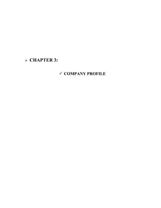 CHAPTER 3:

                  COMPANY PROFILE
 