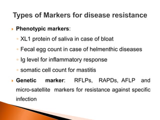  Phenotypic markers:
◦ XL1 protein of saliva in case of bloat
◦ Fecal egg count in case of helmenthic diseases
◦ Ig level for inflammatory response
◦ somatic cell count for mastitis
 Genetic marker: RFLPs, RAPDs, AFLP and
micro-satellite markers for resistance against specific
infection
 