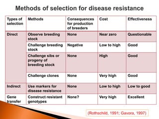 Types of
selection
Methods Consequences
for production
of breeders
Cost Effectiveness
Direct Observe breeding
stock
None Near zero Questionable
Challenge breeding
stock
Negative Low to high Good
Challenge sibs or
progeny of
breeding stock
None High Good
Challenge clones None Very high Good
Indirect Use markers for
disease resistance
None Low to high Low to good
Gene
transfer
Construct resistant
genotypes
None? Very high Excellent
(Rothschild, 1991; Gavora, 1997)
 