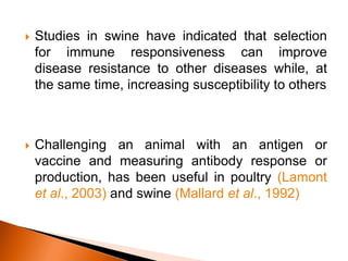  Studies in swine have indicated that selection
for immune responsiveness can improve
disease resistance to other diseases while, at
the same time, increasing susceptibility to others
 Challenging an animal with an antigen or
vaccine and measuring antibody response or
production, has been useful in poultry (Lamont
et al., 2003) and swine (Mallard et al., 1992)
 