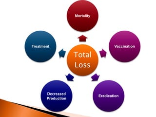 Total
Loss
Mortality
Vaccination
Eradication
Decreased
Production
Treatment
 