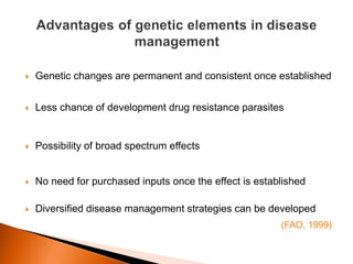  Genetic changes are permanent and consistent once established
 Less chance of development drug resistance parasites
 Possibility of broad spectrum effects
 No need for purchased inputs once the effect is established
 Diversified disease management strategies can be developed
(FAO, 1999)
 