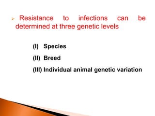  Resistance to infections can be
determined at three genetic levels
(I) Species
(II) Breed
(III) Individual animal genetic variation
 