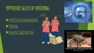 Selective Breeding Technology Selective Breeding | PPTX