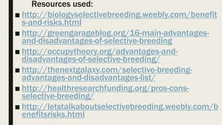 Selective Breeding Risks Selective breeding in cows risks | PPTX