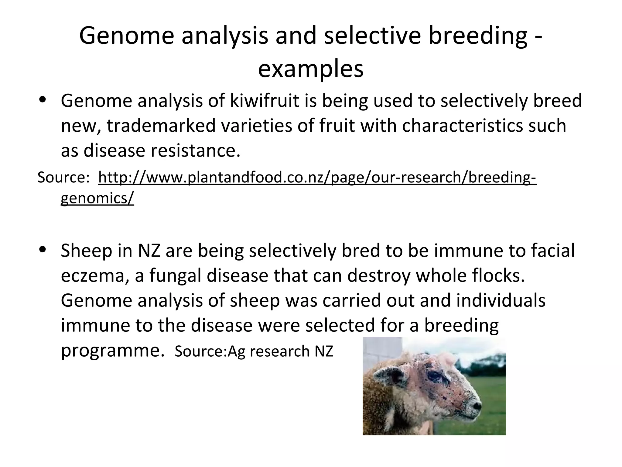 Genome analysis and selective breeding -
examples
• Genome analysis of kiwifruit is being used to selectively breed
new, trademarked varieties of fruit with characteristics such
as disease resistance.
Source: http://www.plantandfood.co.nz/page/our-research/breeding-
genomics/
• Sheep in NZ are being selectively bred to be immune to facial
eczema, a fungal disease that can destroy whole flocks.
Genome analysis of sheep was carried out and individuals
immune to the disease were selected for a breeding
programme. Source:Ag research NZ
 