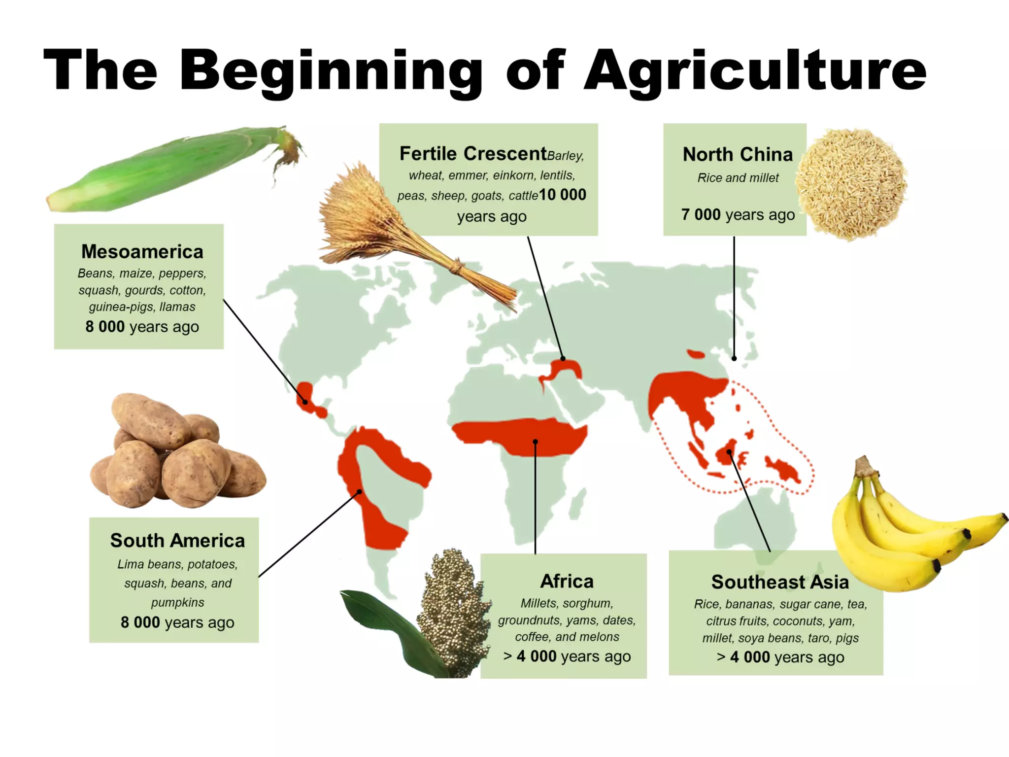 From Biozone powerpoint ‘cultural evolution’
 