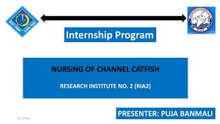NURSING OF CHANNEL CATFISH
RESEARCH INSTITUTE NO. 2 (RIA2)
Internship Program
PRESENTER: PUJA BANMALI12/22/2020 1
 