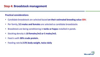 Selective breeding Program (practical).pdf