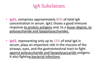 IgA Subclasses
• IgA1, comprises approximately 85% of total IgA
concentration in serum. IgA1 shows a good immune
response to protein antigens and, to a lesser degree, to
polysaccharide and lipopolysaccharides.

• IgA2, representing only up to 15% of total IgA in
serum, plays an important role in the mucosa of the
airways, eyes, and the gastrointestinal tract to fight
against polysaccharide and lipopolysaccaride antigens.
It also fighting bacterial infections.

 