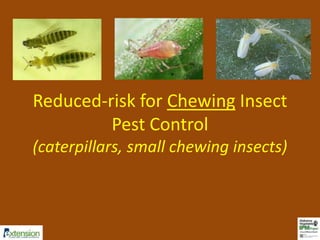 Selective Vegetable Insecticides (2015) | PPTX