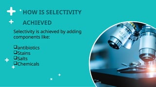 Selective Example Image SELECTIVE MEDIUM AS A TOOL TO ISOLATE AND CHARACTERIZE BACTERIA | PPTX