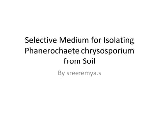 Selective Medium for Isolating
Phanerochaete chrysosporium
from Soil
By sreeremya.s
 