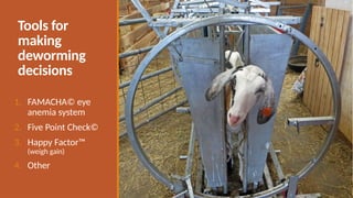 Tools for
making
deworming
decisions
1. FAMACHA© eye
anemia system
2. Five Point Check©
3. Happy Factor™
(weigh gain)
4. Other
 
