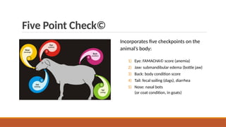 Five Point Check©
Incorporates five checkpoints on the
animal’s body:
1) Eye: FAMACHA© score (anemia)
2) Jaw: submandibular edema (bottle jaw)
3) Back: body condition score
4) Tail: fecal soiling (dags), diarrhea
5) Nose: nasal bots
(or coat condition, in goats)
 