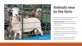 Animals new
to the farm
Assume that new animals are carrying worms that
are resistant to one or more dewormers.
Quarantine drenching is when you treat new
animals on a farm to prevent the introduction of
resistant worms.
You should treat with dewormers from each
chemical class (COWP, too, in some instances).
You should keep them off pasture for at least 1-3
days. When you do release them, it should be onto
contaminated pasture.
It is a good idea to check them after 10 days to
make sure treatment reduced FEC to near 0.
BIOSECURITY
 