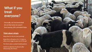 What if you
treat
everyone?
Generally, not recommended
(try to find some fat ones!)
Even leaving 10% untreated helps
Think about refugia
Keep them in dry lot (zero grazing)
Keep them off pasture for 1-3 days to
allow worm eggs to pass out of the gut
Put them onto a contaminated pasture
Switch to selective treatment after
deworming all of them.
 