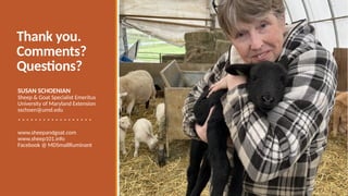 Thank you.
Comments?
Questions?
SUSAN SCHOENIAN
Sheep & Goat Specialist Emeritus
University of Maryland Extension
sschoen@umd.edu
* * * * * * * * * * * * * * * * * *
www.sheepandgoat.com
www.sheep101.info
Facebook @ MDSmallRuminant
 