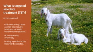 What is targeted
selective
treatment (TST)?
(or non-treatment)
Only deworming those
animals that require
treatment or would
benefit from treatment.
Not deworming
everybody.
Leaving a portion of the
flock/herd untreated.
 
