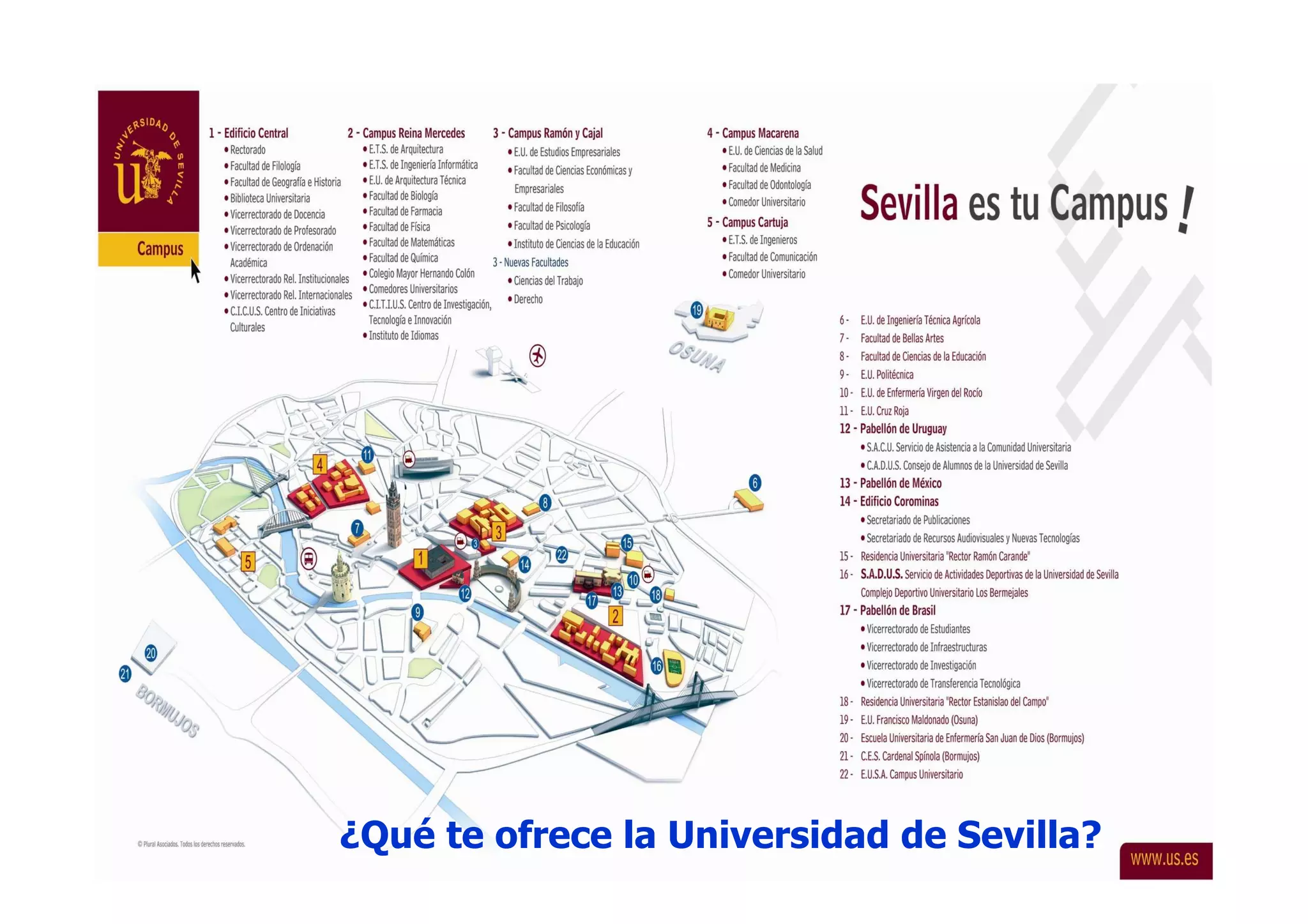 ¿Qué te ofrece la Universidad de Sevilla?
 