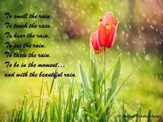 Quotes from Ambal Balakrishnan's Blog - Part 1