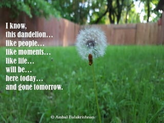 Quotes from Ambal Balakrishnan's Blog - Part 1