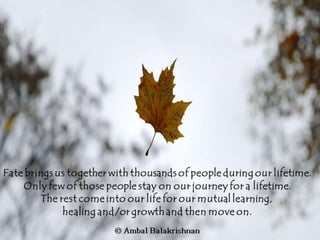 Quotes from Ambal Balakrishnan's Blog - Part 1