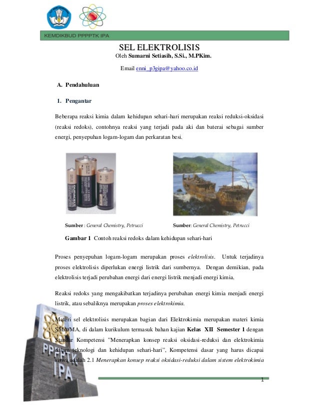 Selelektrolisis Selelektrolisis