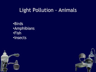 Light Pollution - Animals Birds Amphibians Fish Insects 