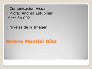  Comunicación Visual
 Profa: Andrea Estupiñan
 Sección 002

   Niveles de la Imagen



Selene Montiel Díaz
 