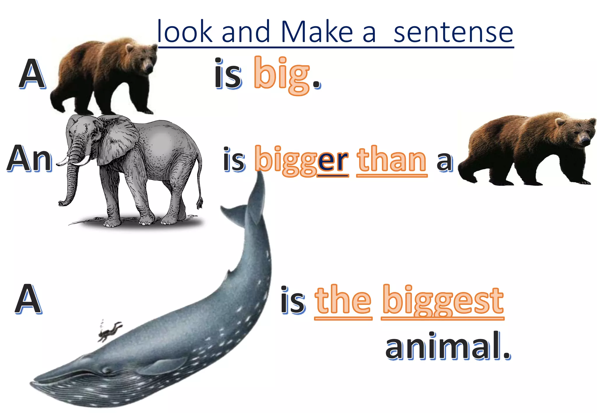 look and Make a sentense
 