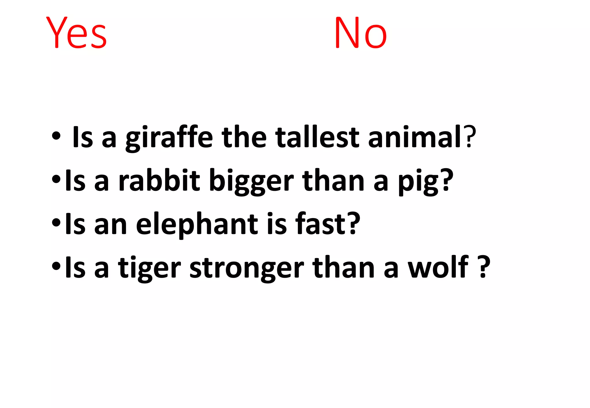 Yes No
• Is a giraffe the tallest animal?
•Is a rabbit bigger than a pig?
•Is an elephant is fast?
•Is a tiger stronger than a wolf ?
 