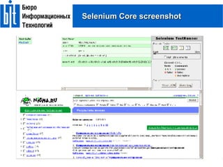 Selenium Core screenshot 