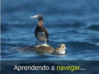 mvn archetype:generate 
 