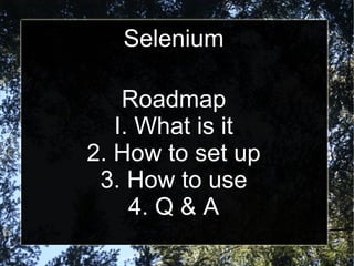 Selenium Perl | PPT